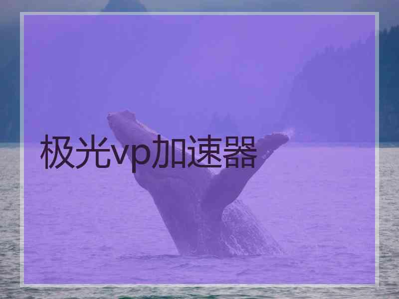 极光vp加速器
